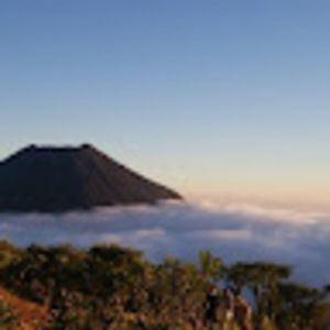 Meet your Posher, Luis